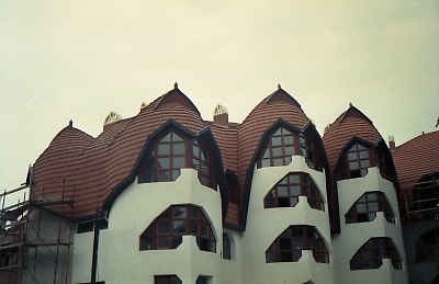 4018-031.jpg