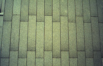 4039-023.jpg