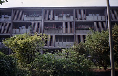 4055-008.jpg