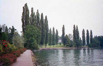 4119-032.jpg