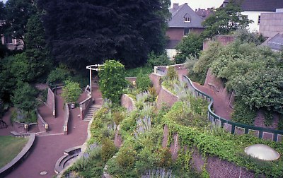 4215-016.jpg