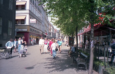 4221-036.jpg