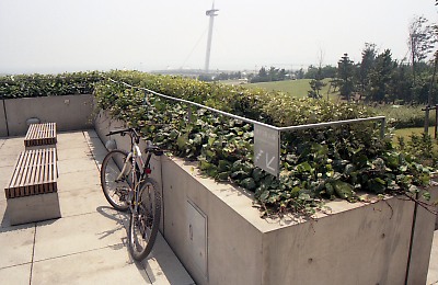 83-47-007.jpg