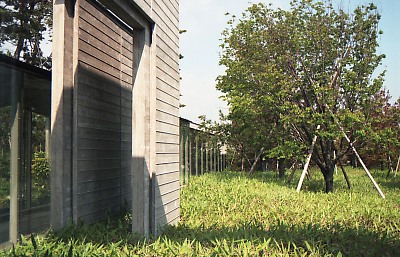 0570-016.jpg
