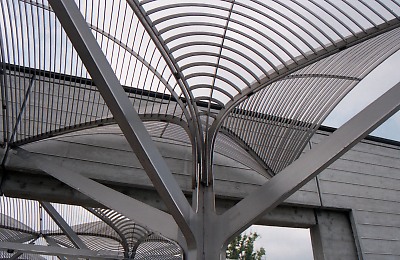 0568-017.jpg