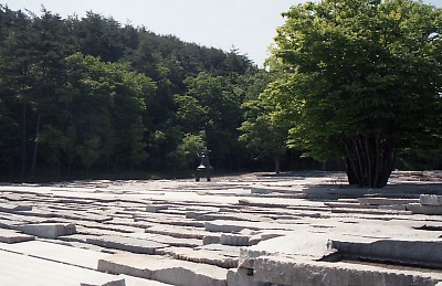 0569-012.jpg