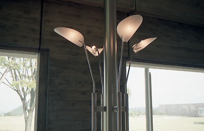 0570-019.jpg