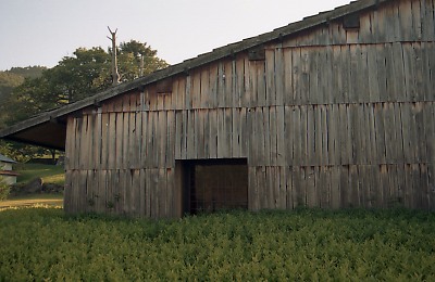 1969-033.jpg