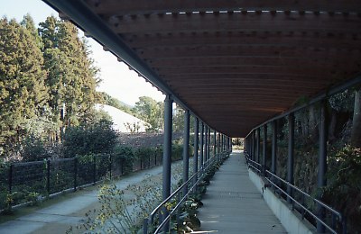 1530-036.jpg
