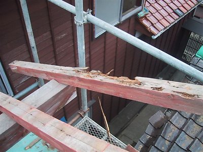 20031127007.jpg