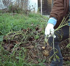 20031230_1.jpg