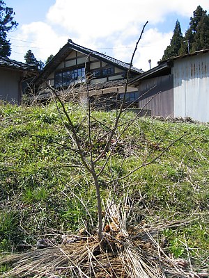 IMG_0155.jpg