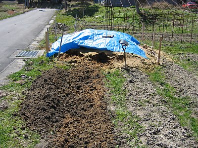 IMG_0160.jpg