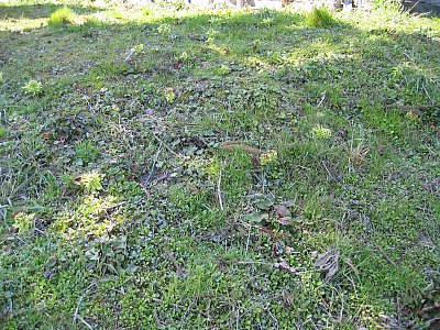 IMG_0163.jpg