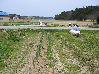 IMG_0315.jpg
