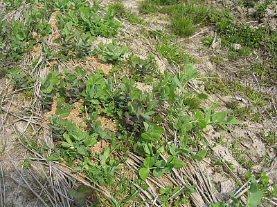 IMG_0316.jpg