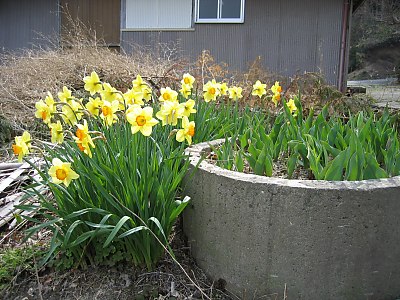 IMG_0317.jpg