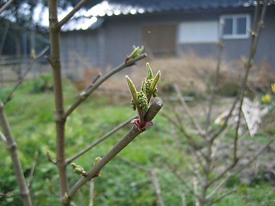 IMG_0318.jpg