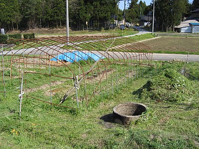 IMG_0404.jpg