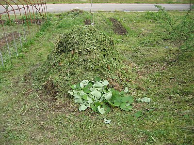 IMG_0417.jpg