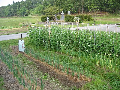 IMG_0483.jpg