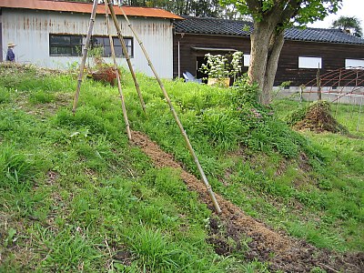 IMG_0489.jpg