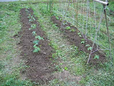 IMG_0593.jpg