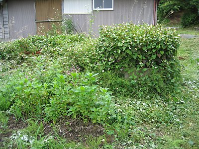 IMG_0595.jpg