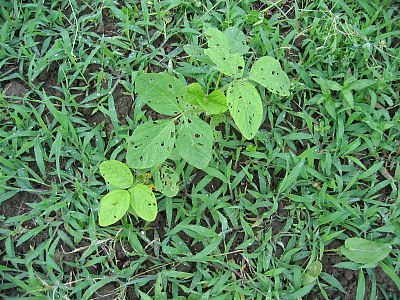 IMG_0599.jpg