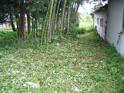 IMG_0602.jpg