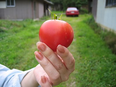 IMG_0777.jpg