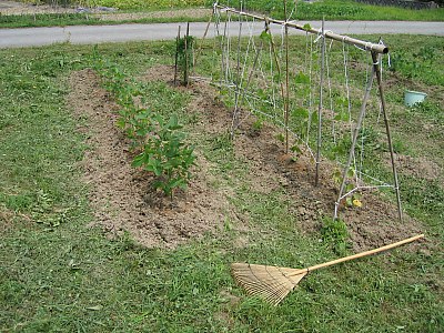 IMG_0779.jpg