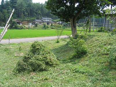 IMG_0780.jpg