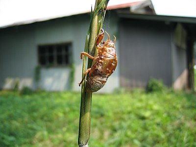 IMG_0781.jpg