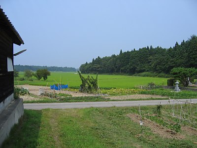 IMG_0782.jpg