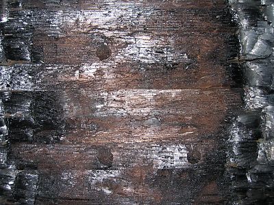 IMG_0860.jpg