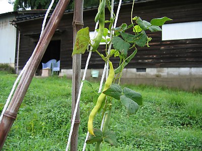IMG_1039.jpg