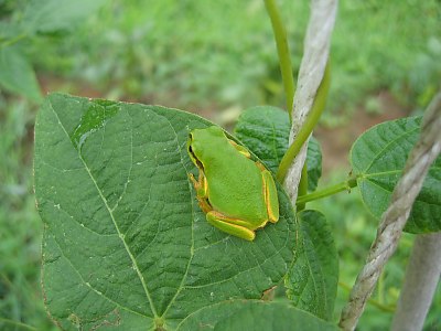 IMG_1046.jpg