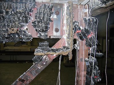 IMG_1424.jpg