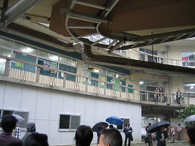 IMG_1429.jpg