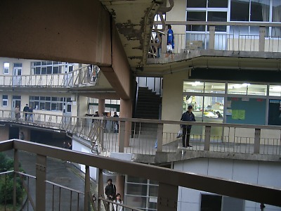 IMG_1453.jpg