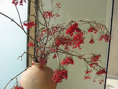 IMG_1492.jpg