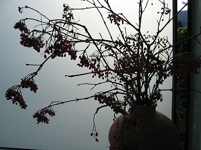 IMG_1495.jpg