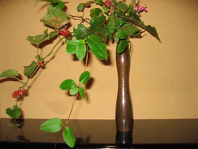 IMG_1498.jpg