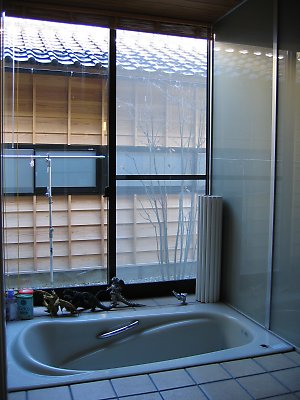 IMG_1630.jpg