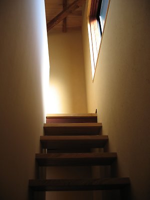 IMG_1649.jpg