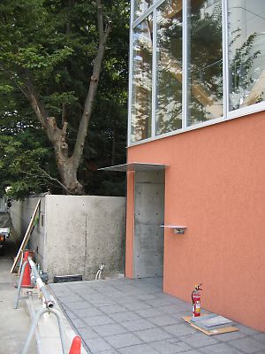 IMG_3177.jpg