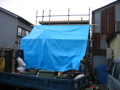 IMG_7871.jpg
