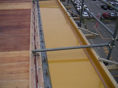 2005061006.jpg