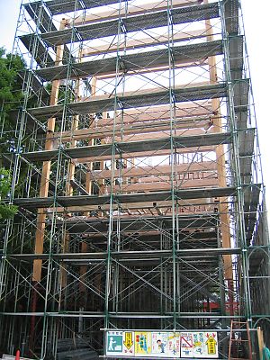 IMG_2236.jpg